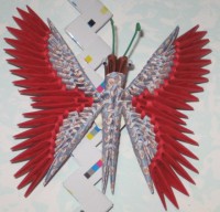 /album/galleria-foto/farfalla-rossa-jpg1/
